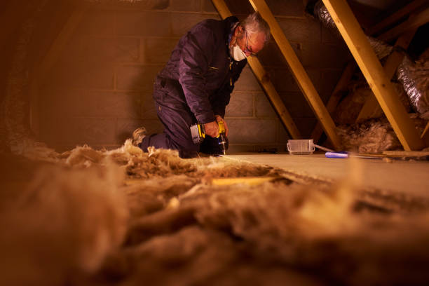 Best Spray Foam Insulation  in Saline, MI